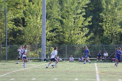 C5D_137780