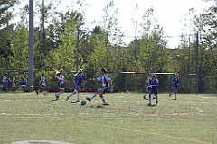 C5D_137786