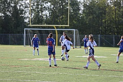C5D_137851