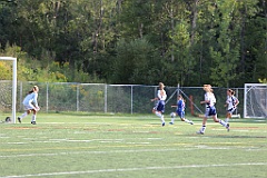 C5D_137874