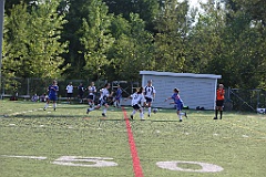 C5D_137966
