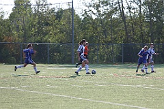 C5D_137971