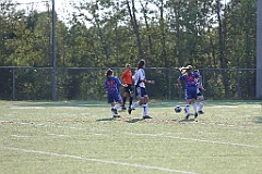 C5D_137973