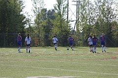 C5D_137976