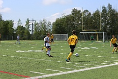 C5D_134387