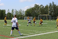 C5D_134391