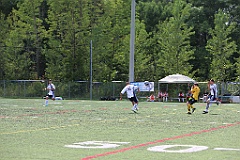 C5D_134460