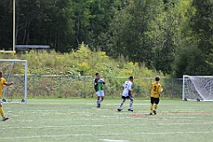 C5D_134566