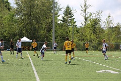 C5D_134592