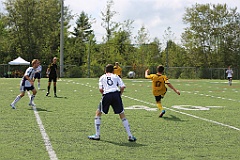 C5D_134608