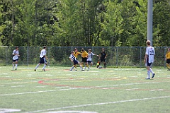 C5D_134616