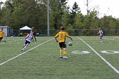 C5D_134837