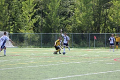 C5D_134904