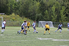 C5D_135174