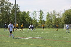 C5D_135294