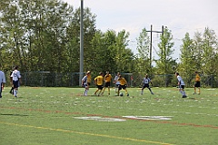 C5D_135296