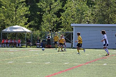 C5D_135488