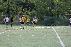 C5D_135544