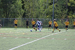 C5D_135546