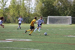 C5D_135561