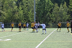 C5D_135978