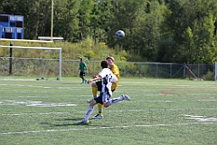 C5D_135982
