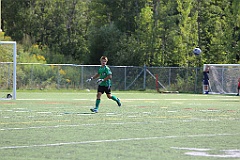 C5D_136178