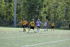 C5D_136195