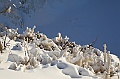C5D_113252