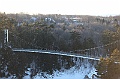 C5D_113264