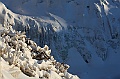 C5D_113271