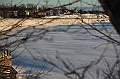 C5D_113280