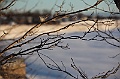 C5D_113281