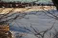 C5D_113282