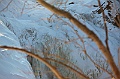 C5D_113283