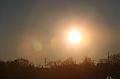 C5D_113289