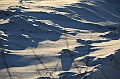 C5D_113291