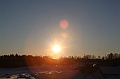 C5D_113294