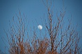 C5D_113301