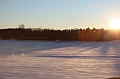 C5D_113308