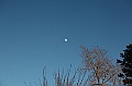C5D_113311