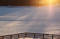 C5D_113313