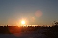C5D_113316