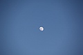 C5D_113319