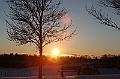 C5D_113327