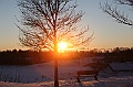 C5D_113329