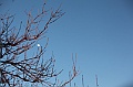 C5D_113332