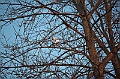C5D_113339