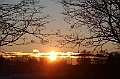 C5D_113341