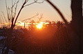C5D_113344